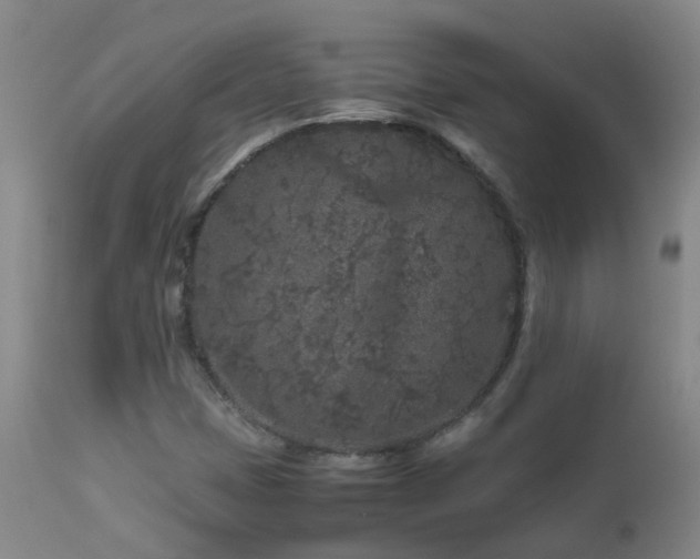 X0000112881401200908211439