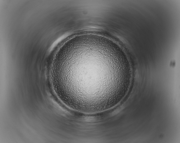 X0000112881402200908211439