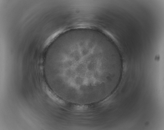 X0000112881403200908211439