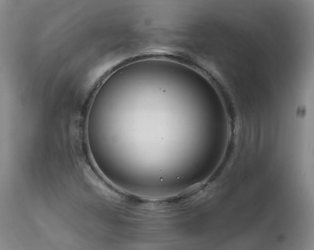 X0000112881404200908211439