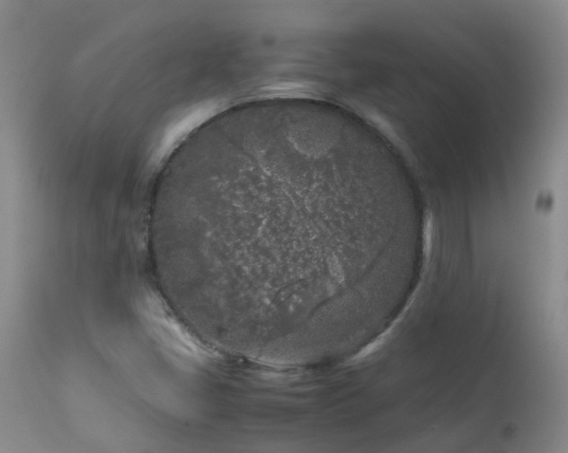 X0000112881405200908211439