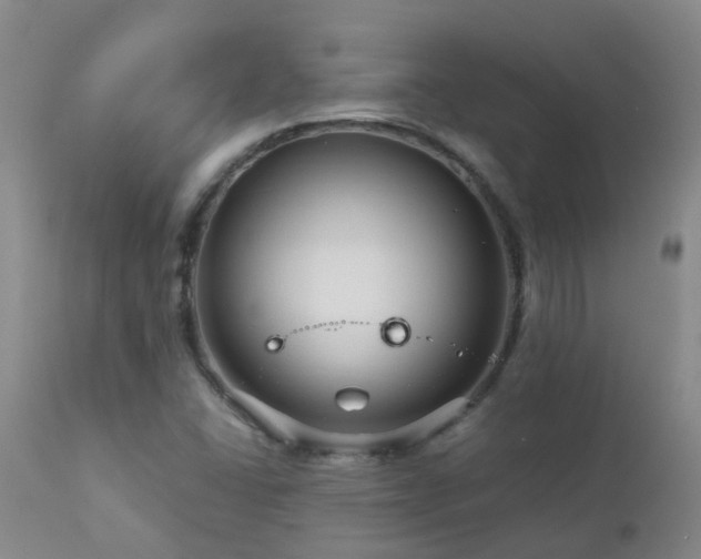 X0000112881406200908211439