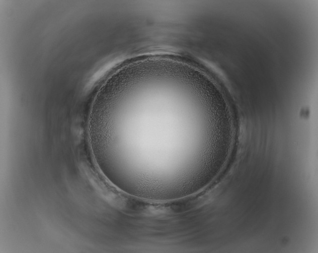 X0000112881407200908211439