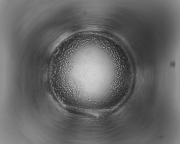 X0000112881409200908211439