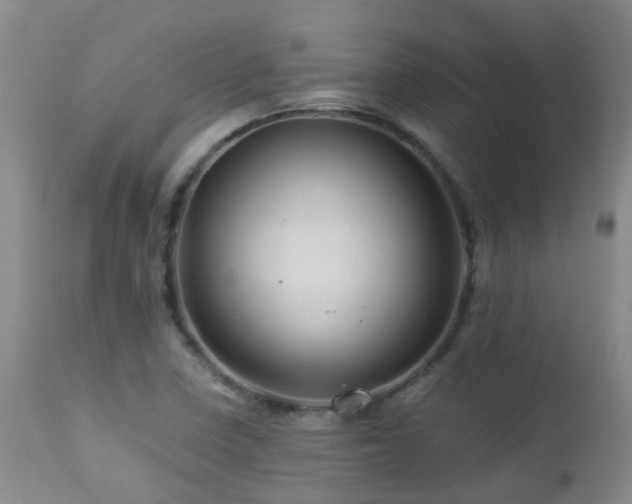 X0000112881410200908211439