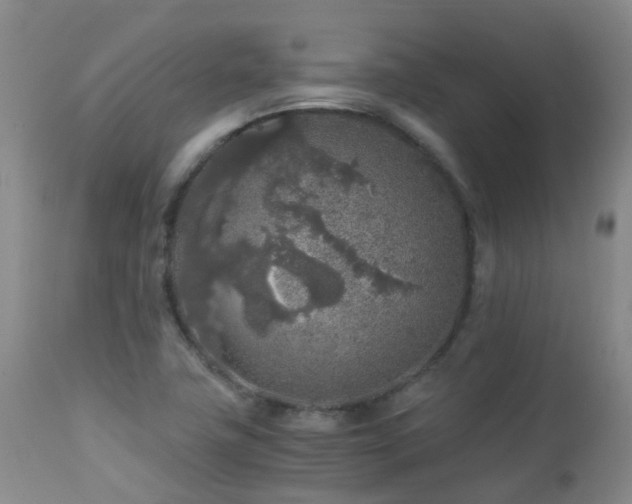 X0000112881411200908211439