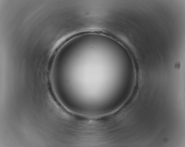 X0000112881412200908211439