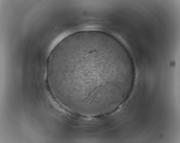 X0000112881413200908211439