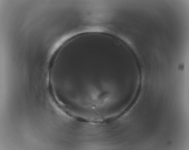 X0000112881414200908211439