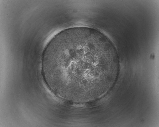 X0000112881415200908211439