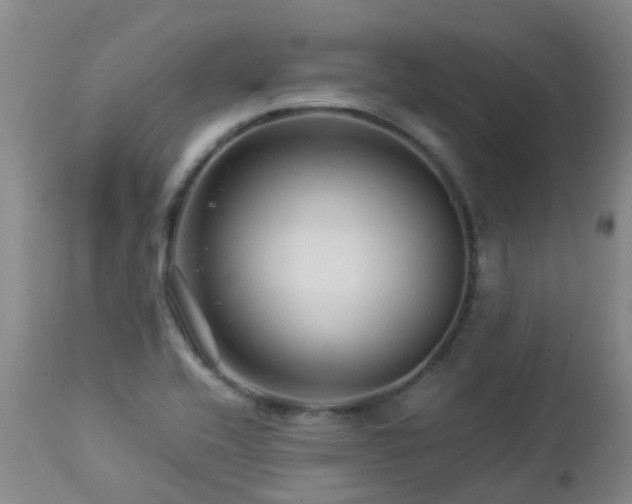 X0000112881416200908211439