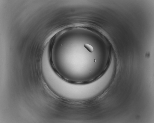 X0000112881417200908211439