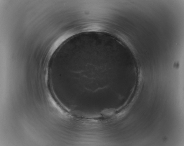 X0000112881418200908211439