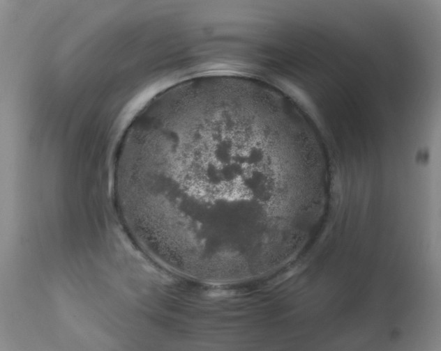 X0000112881419200908211439