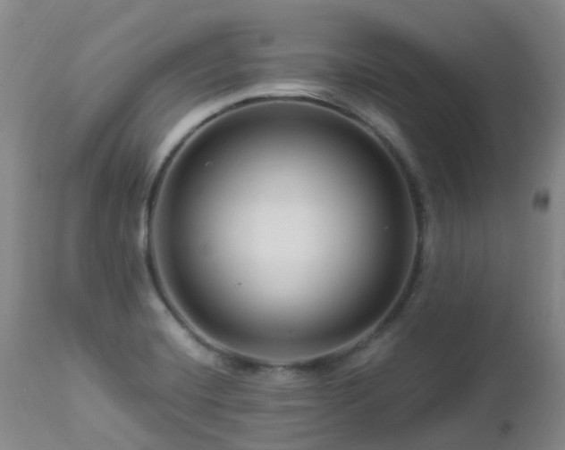 X0000112881420200908211439