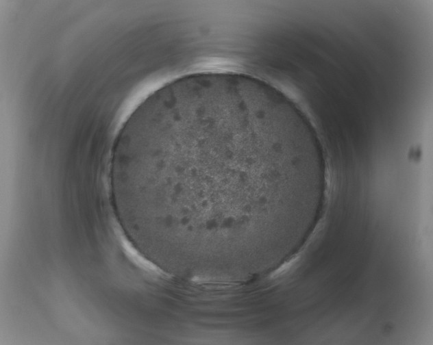 X0000112881421200908211439