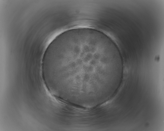 X0000112881423200908211439