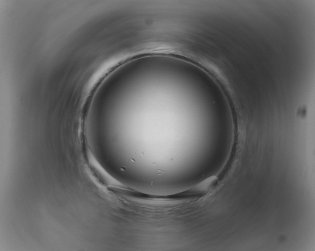 X0000112881424200908211439