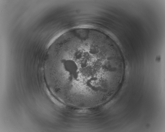 X0000112881425200908211439