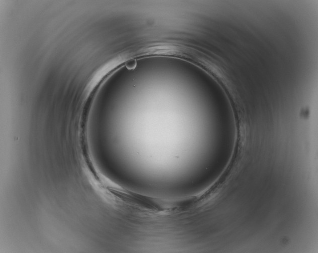 X0000112881426200908211439