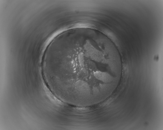 X0000112881427200908211439