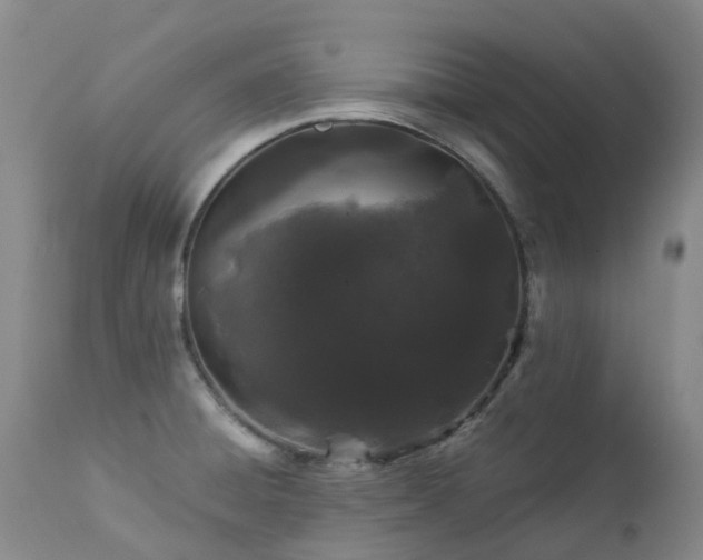 X0000112881428200908211440