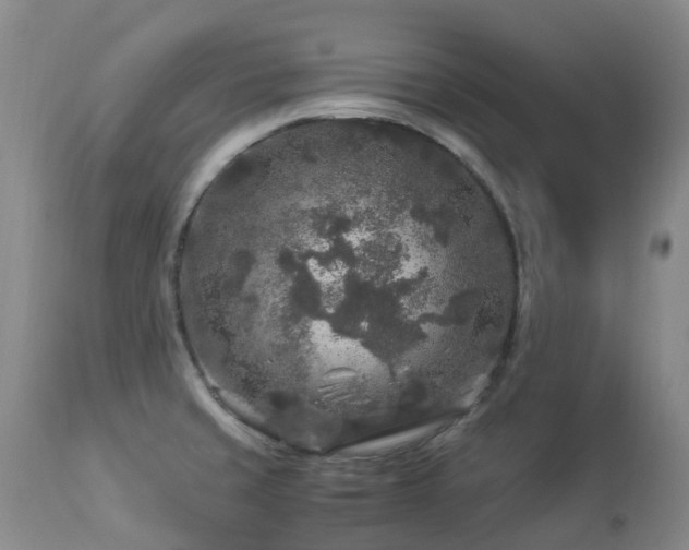 X0000112881429200908211440