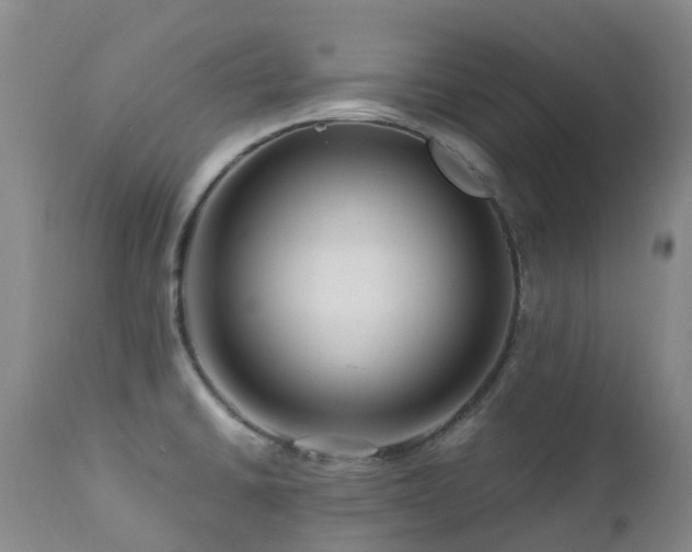 X0000112881430200908211440