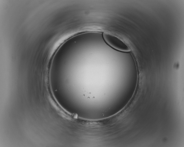 X0000112881432200908211440