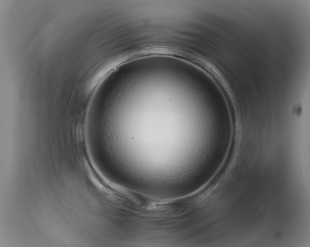 X0000112881433200908211440