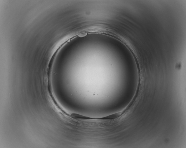 X0000112881434200908211440