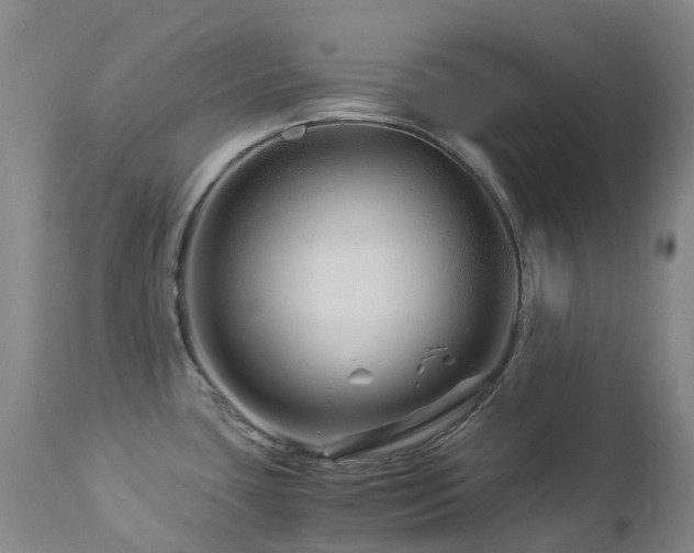 X0000112881435200908211440