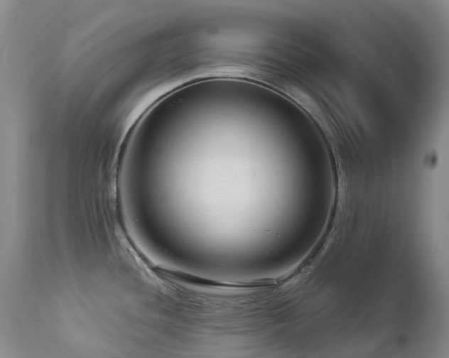 X0000112881436200908211440