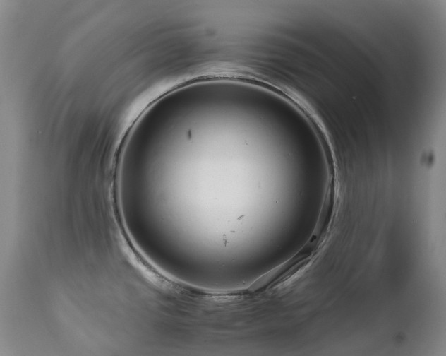 X0000112881437200908211440