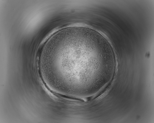 X0000112881438200908211440