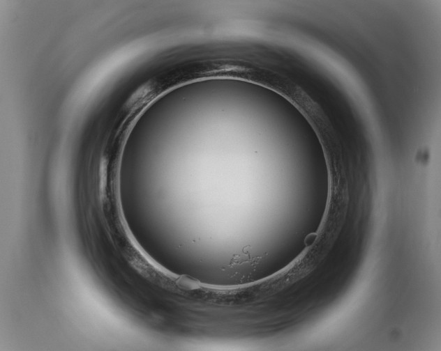 X0000112881439200908211440