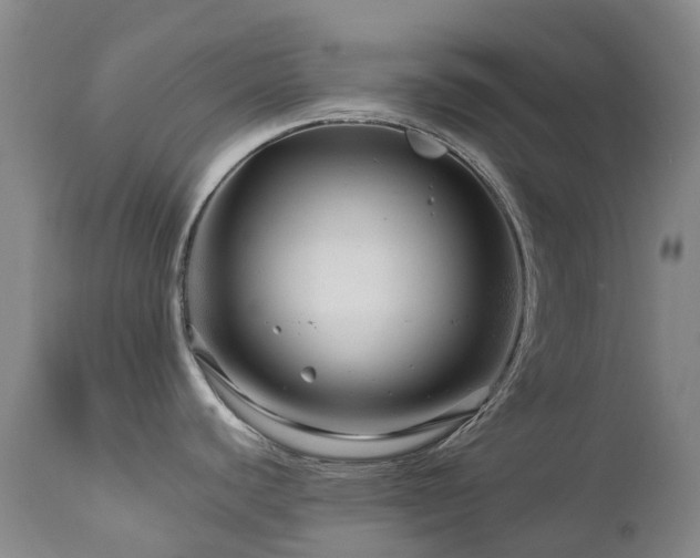 X0000112881440200908211440