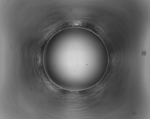 X0000112881442200908211439