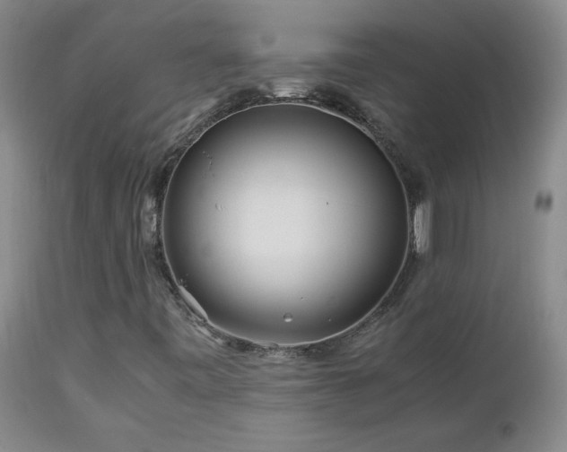 X0000112881443200908211439