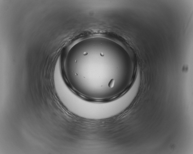 X0000112881444200908211439