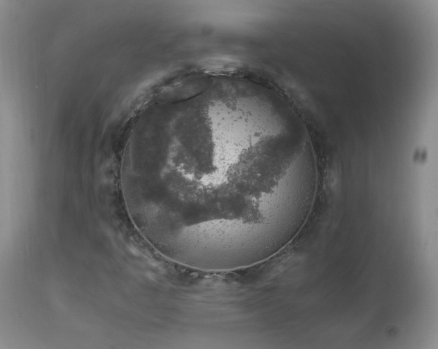 X0000112881445200908211439