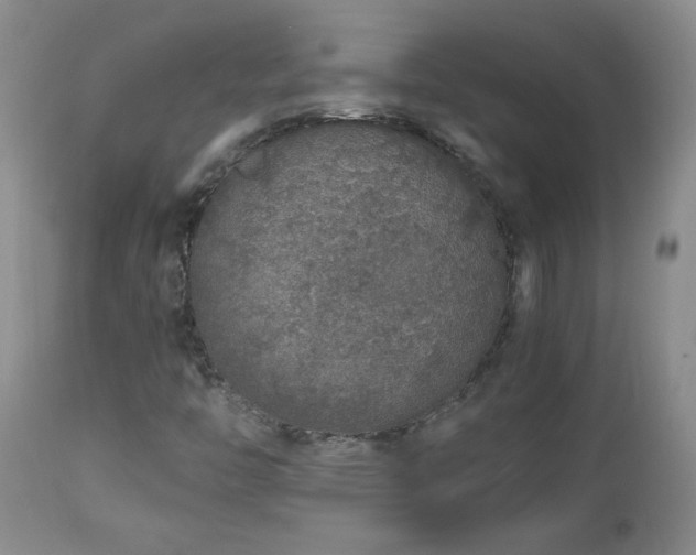 X0000112881446200908211439