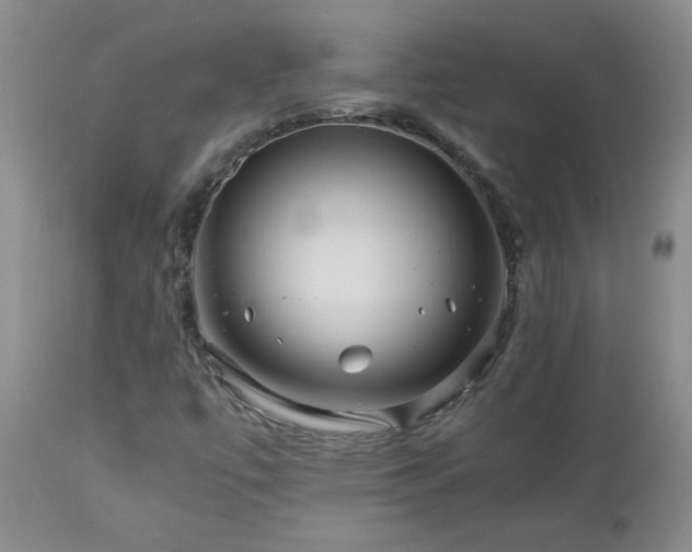 X0000112881447200908211439