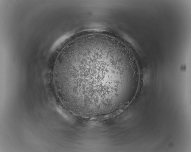 X0000112881448200908211439