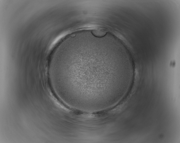 X0000112881450200908211439