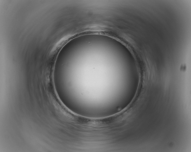 X0000112881451200908211439