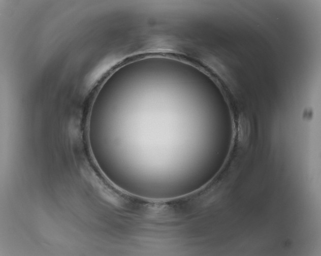 X0000112881452200908211439