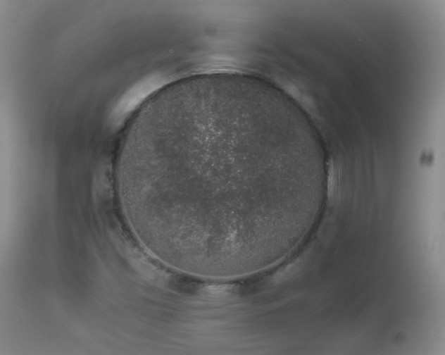 X0000112881453200908211439