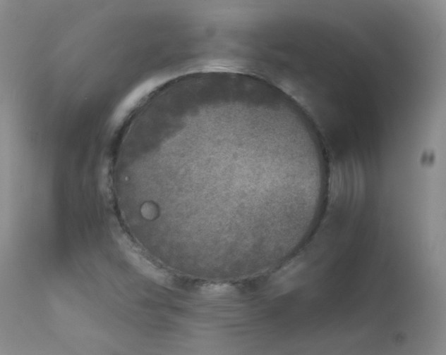 X0000112881454200908211439