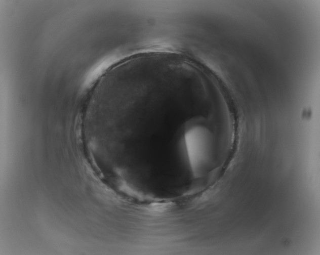 X0000112881455200908211439